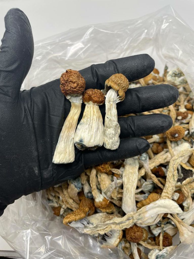 WhatsApp Image 2023 03 09 at 3.32.06 AM 1 768x1024