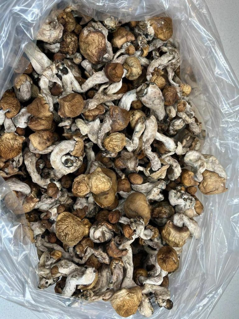 WhatsApp Image 2023 03 09 at 3.32.06 AM 768x1024