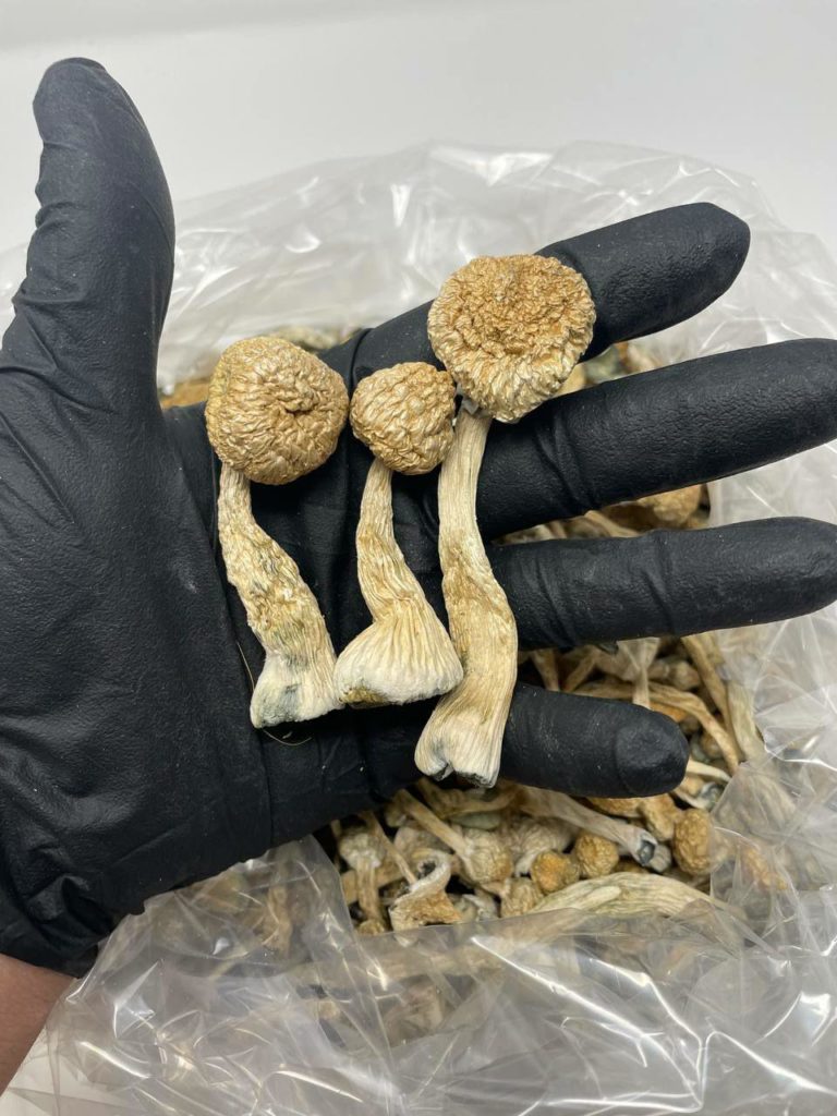 WhatsApp Image 2023 03 09 at 3.32.07 AM 768x1024